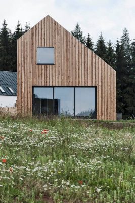 طراحی و ساخت ویلا چوبی در جنگل